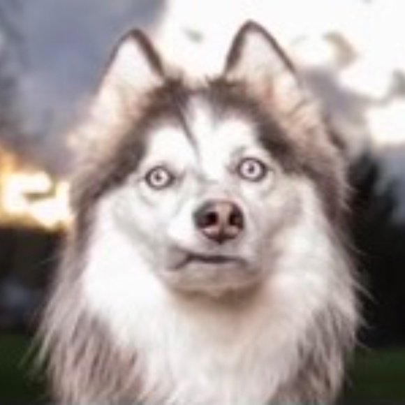 Meet your Posher, Sandra - Picture 6 of 6